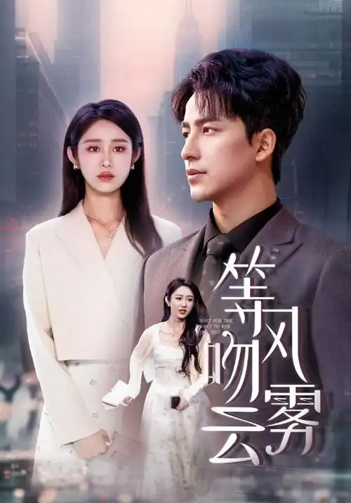 琅琊榜 电视剧海报